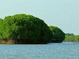 ക്ഷേത്രങ്ങളുടെ നാടായ ചിദംബരത്തെ കാഴ്ചകൾ