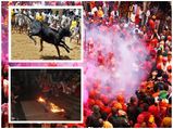 കനലിലൂടെ നടക്കുന്ന തീമിതിയും പുരുഷന്മാരെ അടിച്ചിരുത്തുന്ന ലത് മാർ ഹോളിയും!തീർന്നിട്ടില്ല ആചാരങ്ങൾ!
