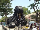 ഒരു ഗ്രാമത്തിലെ 9 നന്ദി ക്ഷേത്രങ്ങൾ..രോഗങ്ങൾ അകറ്റുന്ന ക്ഷേത്രക്കുളം...വിശ്വസിച്ചേ മതിയാവൂ!!