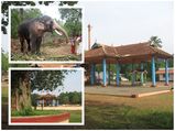 ഗജവീരന്മാർക്ക് പ്രിയപ്പെട്ട ഇത്തിത്താനം ക്ഷേത്രം