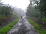 സ്ഥലം മാത്രം നോക്കിയാൽ പോര....മഴയാത്രയ്ക്കിറങ്ങാൻ ഇതും അറിയണം!