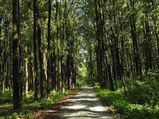 കാടിന്റെ കഥയുമായി ബുക്സാ ദേശീയോദ്യാനം