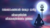 ജന്മനക്ഷത്രത്തിലെ  സര്‍പ്പദോഷമകറ്റാം, ശിവരാത്രി ദിനം ഈ മൂന്ന് ശിവക്ഷേത്രദര്‍ശനം അത്യുത്തമം