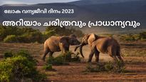 ലോക വന്യജീവി ദിനം 2023: പങ്കാളിത്തത്തോടെ പ്രവർത്തിക്കാം, അറിയാം ചരിത്രവും പ്രാധാന്യവും