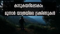 കാടും തേയിലത്തോട്ടങ്ങളും കയറിപ്പോകാം, മൂന്നാർ യാത്രയിൽ പോകണം ഈ ട്രക്കിങ് റൂട്ടുകളിലും