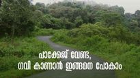 പാക്കേജ് വേണ്ട, നേരിട്ടു പോകാം; ഗവി കാണാം ചിലവും കുറവ്, അറിയേണ്ട കാര്യങ്ങൾ