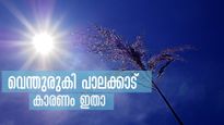 ചുട്ടുപൊള്ളുന്ന പാലക്കാട്, ഇതാണോ കാരണം, ഇനിയും വെന്തുരുകുമോ? പിന്നിലെ കാരണമറിയാം