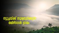  നട്ടുച്ചയ്ക്ക് സൂര്യനുദിക്കുന്ന ഇടം, കോടമഞ്ഞ്, കൊടുംവളവ് കിണ്ണക്കോരയെന്ന സ്വര്‍ഗ്ഗത്തിലേക്കുള്ള വഴി, ഇതുപോരെ!