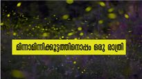 മിന്നാമിനുങ്ങുകൾക്കൊപ്പം ഒരു രാത്രി, ഫയർഫ്ലൈസ് ഫെസ്റ്റിവൽ 2023, പോകാം അത്ഭുതക്കാഴ്ചകളിലേക്ക്