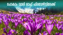 പൂക്കളുടെ താഴ്വരയിലേക്ക് പോകാം, പർവ്വതങ്ങളും താഴ്വരകളും കടന്ന് പൂക്കളുടെ ലോകത്തേയ്ക്കൊരു യാത്ര