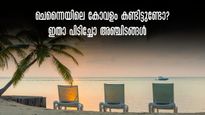 ഓണം യാത്രയിൽ കോംപ്രമൈസില്ല! ചെന്നൈയിൽ നിന്നു കറങ്ങാൻ  അഞ്ച് ഇടങ്ങൾ, അതും 100 കിലോമീറ്ററിനുള്ളിൽ