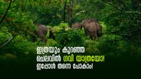 Gavi  Day Trip: ഒരു പകൽ മുഴുവനും ഗവിയിൽ;  ഒപ്പം ബോട്ടിങും, ഭക്ഷണവും! കിടിലൻ പാക്കേജ്, ചെലവും കുറവ്