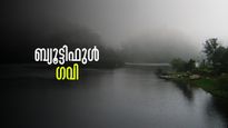 എന്താ ഗവി ബ്യൂട്ടി അല്ലേ?  ഇനി സംശയം വേണ്ട, ഗവി യാത്രയിൽ കാണുന്ന കാഴ്ചകൾ ഇതെല്ലാം 