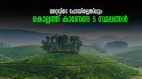 കൊല്ലം യാത്രയിലെ രസങ്ങൾ! തെന്മല മുതൽ അമ്പനാട് ഹിൽസ് വരെ അഞ്ച് സ്ഥലങ്ങൾ കാണാതെ പോകരുത്