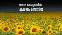 ഓണം 2023: കളർഫുൾ ഓണത്തിന് പൂക്കൾ മറുനാട്ടിൽ നിന്ന്.. കേരളത്തിനായി പൂത്തുലയുന്ന  ഇടങ്ങൾ 