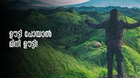 കോടമഞ്ഞ് പൊതിഞ്ഞ, കാറ്റിൽ കുളിരുള്ള  കൊടികുത്തിമല.. പോകാം കൊച്ചിയിൽ നിന്നും മിനി ഊട്ടിയിലേക്ക്