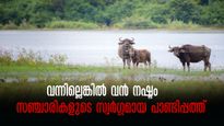പുൽമേടും കാട്ടുപോത്തും.. പത്തുമൈൽ അകലെ തമിഴ്നാട്, പാണ്ടിപ്പത്ത് നല്കുന്ന സന്തോഷങ്ങൾ വേറെയാണ്