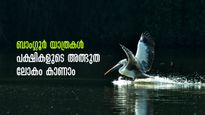 ബാംഗ്ലൂർ യാത്രകൾ: കുട്ടികളെയും കൂട്ടി പോകാൻ 5 ഇടങ്ങൾ, കാത്തിരിക്കുന്നത് പക്ഷികളുടെ അത്ഭുത ലോകം