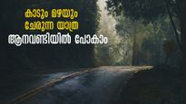 കാട്ടിലൂടെ ബസ് യാത്ര, അണക്കെട്ട്, പിന്നെ ബോട്ടിങും.. പോയാലോ? യാത്ര എറണാകുളത്തു നിന്ന്..വലിയ ചെലവുമില്ലെന്നേ!