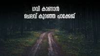 നവരാത്രിയുടെ അവധിയിൽ ഗവി കാണാം, ജീപ്പിൽ കമ്പവും കുമളിയും കറങ്ങാം...ചെലവ് കുറഞ്ഞ പാക്കേജ്
