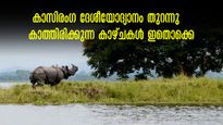 ഒറ്റക്കൊമ്പൻ കാണ്ടാമൃഗത്തെ കാണാം, ചെളിയിലെ മാനും കാത്തിരിക്കുന്നു.. അസം കാസിരംഗ ദേശീയോദ്യാനം തുറന്നു