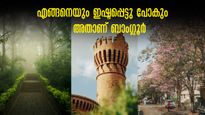 ബാംഗ്ലൂർ എങ്ങനെ ഇഷ്ടപ്പെടാതിയിരിക്കും? ഈ അഞ്ച് കാരണങ്ങൾ മാത്രം മതി