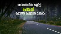 പൊന്മുടി-വാഴ്വന്തോൾ.. കാത്തിരുന്ന യാത്രയെത്തി! വെള്ളച്ചാട്ടവും ഒപ്പം ട്രെക്കിങ്ങും! കെഎസ്ആർടിസിയിൽ പോയി വരാം