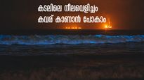 കടലിൽ പൂത്ത നീല വെട്ടം! കവര് കാണാൻ പോകാം, ഒരു ബാംഗ്ലൂർ-ഗോകർണ യാത്ര