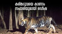 അപൂവ്വമായ വന്യമൃഗത്തെ കാണാം, ലോകത്തിലെ ആദ്യ  കരിങ്കടുവ സഫാരിയുമായി ഒഡീഷ 