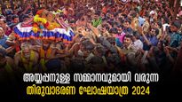 ശബരിമല തിരുവാഭരണ ഘോഷയാത്ര 13ന്, അടയാളം തരുന്ന കൃഷ്ണപ്പരുന്ത്, അയ്യപ്പനുള്ള സമ്മാനം