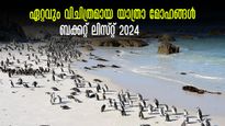 ചെന്നായ്ക്കൾക്കൊപ്പം കിടന്നുറങ്ങാം, പെൻഗ്വിനുകളെ കാണാം.. 2024 ലെ യാത്രാ മോഹങ്ങൾ ഒട്ടും കുറയ്ക്കേണ്ട!