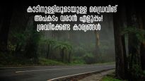 കാടിനുള്ളിലൂടെ യാത്ര ചെയ്യുമ്പോൾ.വണ്ടി നിർത്തരുത്!  സെൽഫി മറന്നേക്കൂ..ശ്രദ്ധിക്കേണ്ട കാര്യങ്ങൾ