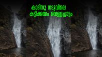 കുന്നും മലയും കയറിച്ചെല്ലുന്ന  കാടിനുള്ളിലെ കട്ടിക്കയം വെള്ളച്ചാട്ടം, കിടിലന്‍ കാഴ്ച.. വിട്ടുപോകരുതേ