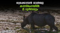 കാസിരംഗയിൽ ആനപ്പുറത്ത് കയറി ഒറ്റക്കൊമ്പനെ കാണുക മാത്രമല്ല, അസമീസ് ചായയും കുടിക്കാം..