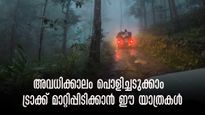 അവധിക്കാലത്ത് കാടും മലയും കയറാം; ഇല്ലിക്കല്‍ കല്ല് മുതൽ വയനാടും ഗവിയും വരെ.. 