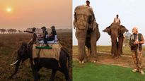 ഒറ്റക്കൊമ്പന്‍റെ മണ്ണിൽ ആനപ്പുറത്ത് സഫാരി നടത്തി പ്രധാനമന്ത്രി, കാസിരംഗ ചിത്രങ്ങൾ വൈറൽ