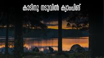കാട്ടിലെ കുളക്കരയിൽ ക്യാംപിങ്, ഒരു രാത്രി ടെന്‍റിൽ താമസവും.. വ്യായമവും പണിയും മുടക്കേണ്ടി വരില്ല