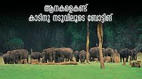 തേക്കടിയിലെ ബോട്ടിങ്; ആനകളെയും മാൻകൂട്ടങ്ങളെയും കണ്ട്  ഒരു യാത്ര, ഓൺലൈൻ ബുക്ക് ചെയ്യാം