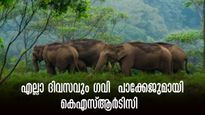  എല്ലാ ദിവസവും ഗവി യാത്ര; കെഎസ്ആർടിസി ബജറ്റ് ടൂറിസം മേയ് മാസ പാക്കേജ്, എല്ലാ യൂണിറ്റിൽ നിന്നും ഗവി ടൂർ