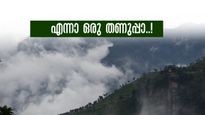 പോയാൽ തിരികെ വരാനേ തോന്നില്ല; പോകാം നീലഗിരി മലനിരകളിലേക്ക്.. കാടുണ്ട്, വെള്ളച്ചാട്ടമുണ്ട്..
