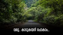 ശെന്തുരുണിയിലേക്ക് കാനനയാത്ര, മുത്തങ്ങയിൽ ജംഗിൾ സഫാരി... അവധിക്കാല പാക്കേജുമായി കെഎസ്ആർടിസി