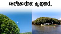 കോഴിക്കോടിന്‍റെ പച്ചത്തുരുത്തുകൾ കണ്ടുവരാം; കണ്ണൂർ- കോഴിക്കോട് ഏകദിന യാത്ര, ശരീരവും മനസും തണുപ്പിക്കാം