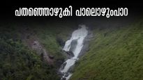 മഞ്ഞുമൂടിയ മലയിൽ പാലൊഴുകി വരുംപോലൊരു വെള്ളച്ചാട്ടം! പാലൊഴുകുംപാറ  കാണാം, മഴ നനഞ്ഞു പോകാം