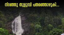 കുളിരണിയിച്ച് ,കുതിച്ചൊഴുകി ഇടുക്കിയിലെ വെള്ളച്ചാട്ടങ്ങൾ..  മഴക്കാലത്ത് ഇതുവേണം കാണാൻ, മഴനനഞ്ഞൊരു യാത്ര