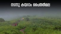 കണ്ണൂരുകാരുടെ മൂന്നാർ, നട്ടുച്ചയ്ക്കത്തെ ചൂട് പോലും ഏശില്ല, മൺസൂൺ ട്രെക്കിങ്ങിന് പൈതൽമല