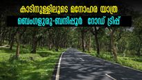 ബെംഗളൂരു-ബന്ദിപ്പൂർ  റോഡ് ട്രിപ്പ്; ബന്ദിപ്പൂർ ദേശീയോദ്യാനം കാണാനുള്ള സമയം, കാട് മാത്രമല്ല, ഇവിടുത്തെ കാഴ്ചകൾ 