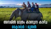 ആനപ്പുറത്തേറി ഒറ്റക്കൊമ്പനെ കാണാൻ സവാരി, ഓരോ ചുവടിലും കൗതുകക്കാഴ്ചകളുമായി കാസിരംഗ ദേശീയോദ്യാനം തുറക്കുന്നു