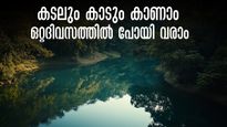 ഗവിയുടെ വന്യതയും അടവി കുട്ടവഞ്ചി യാത്രയും.. അറബിക്കടലിലെ സൂര്യാസ്തമയവും കാണാം,  കെഎസ്ആർടിസി പാക്കേജ്