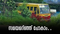  തെങ്കാശി കാണാൻ ചെങ്കോട്ട കടന്ന് കെഎസ്ആർടിസി യാത്ര, തമിഴ് ഗ്രാമങ്ങളിലൂടെ ചുറ്റിയടിക്കാം,  സമയമറിഞ്ഞ് പോകാം
