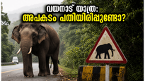 വയനാട്ടിൽ പോകാൻ പ്ലാൻ ഉണ്ടോ? കാട്ടാന ആക്രമണത്തെത്തുടർന്ന് ഈ കാര്യങ്ങൾ അറിയാതെ യാത്ര ചെയ്യരുത്, അപകടം പതിയിരിപ്പുണ്ട്!
